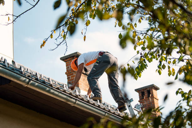 Best Chimney Flashing Repair  in Sur Hill, GA