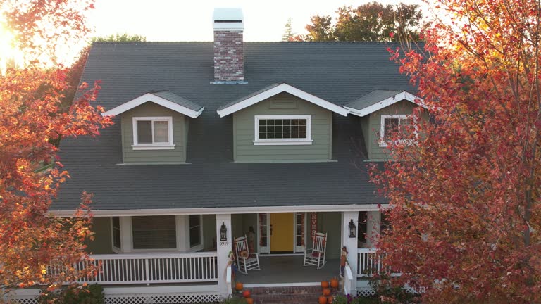 Roof Moss and Algae Removal in Sugar Hill, GA